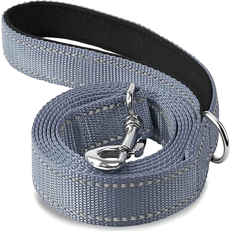 NightGuard Reflective Dog Leash