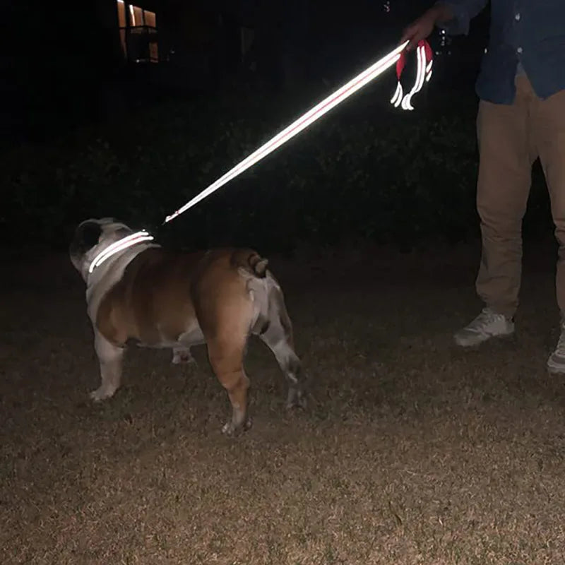 NightGuard Reflective Dog Leash