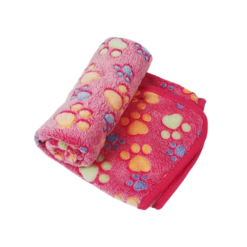 CloudNest Coral Fleece Pet Blanket