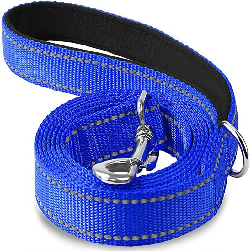 NightGuard Reflective Dog Leash