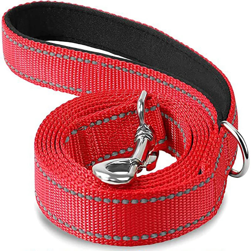 NightGuard Reflective Dog Leash