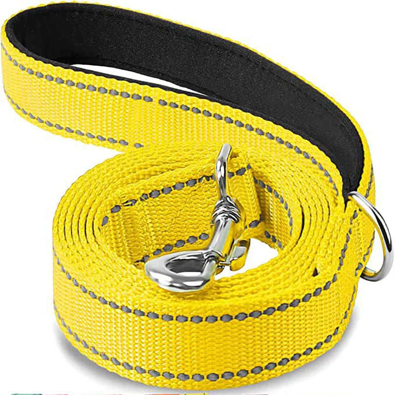 NightGuard Reflective Dog Leash