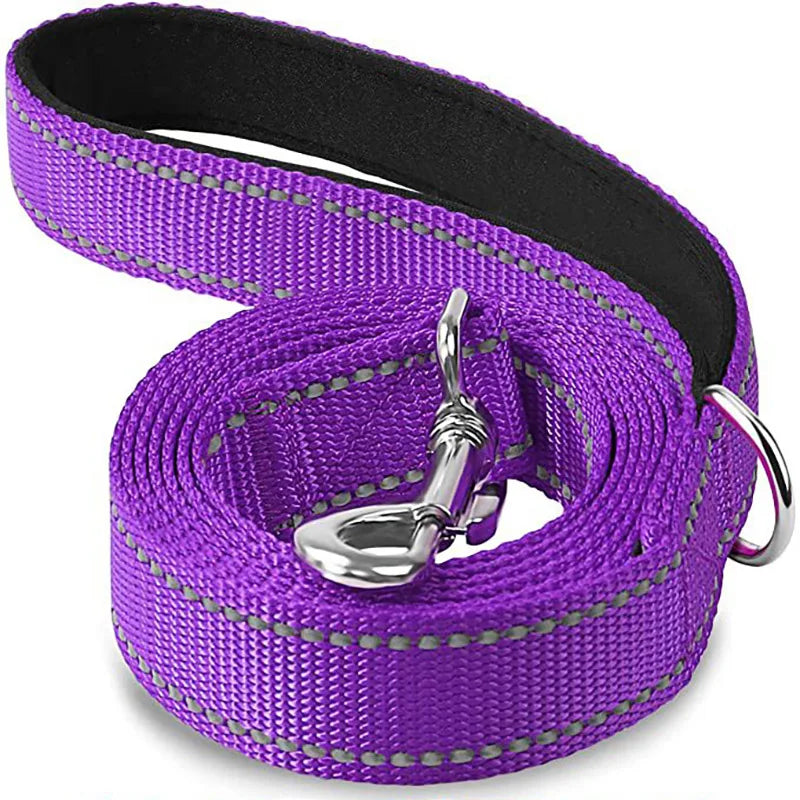 NightGuard Reflective Dog Leash