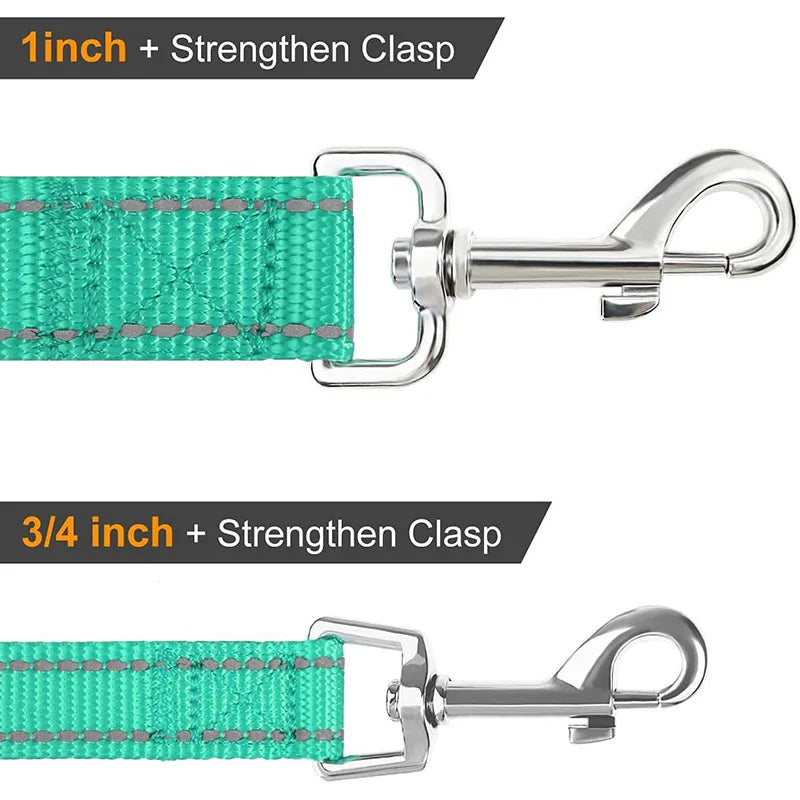 NightGuard Reflective Dog Leash