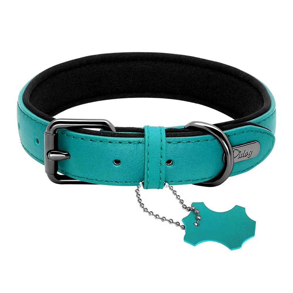 Didog Premium Leather Dog Collar