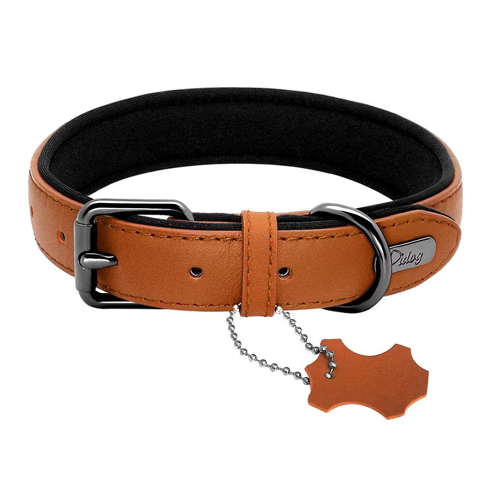 Didog Premium Leather Dog Collar