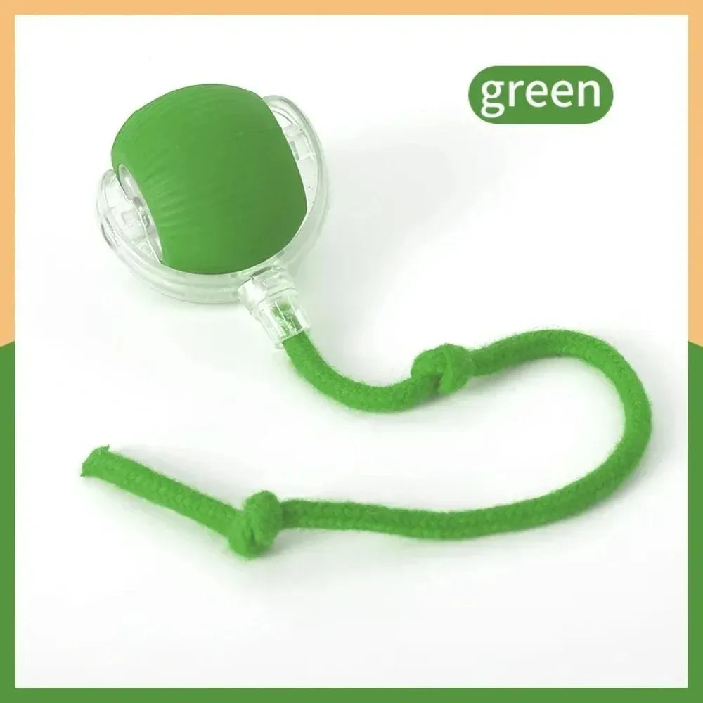 WhiskerChase Smart Rolling Ball