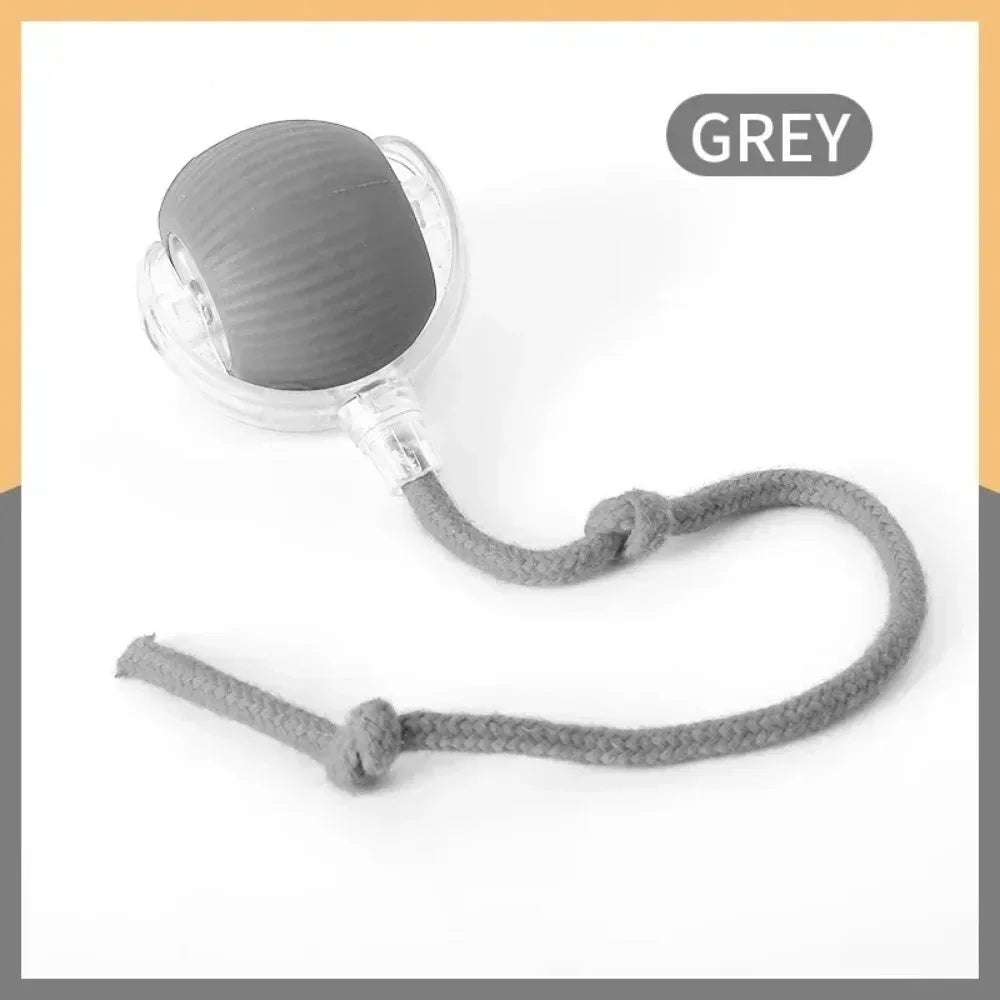 WhiskerChase Smart Rolling Ball