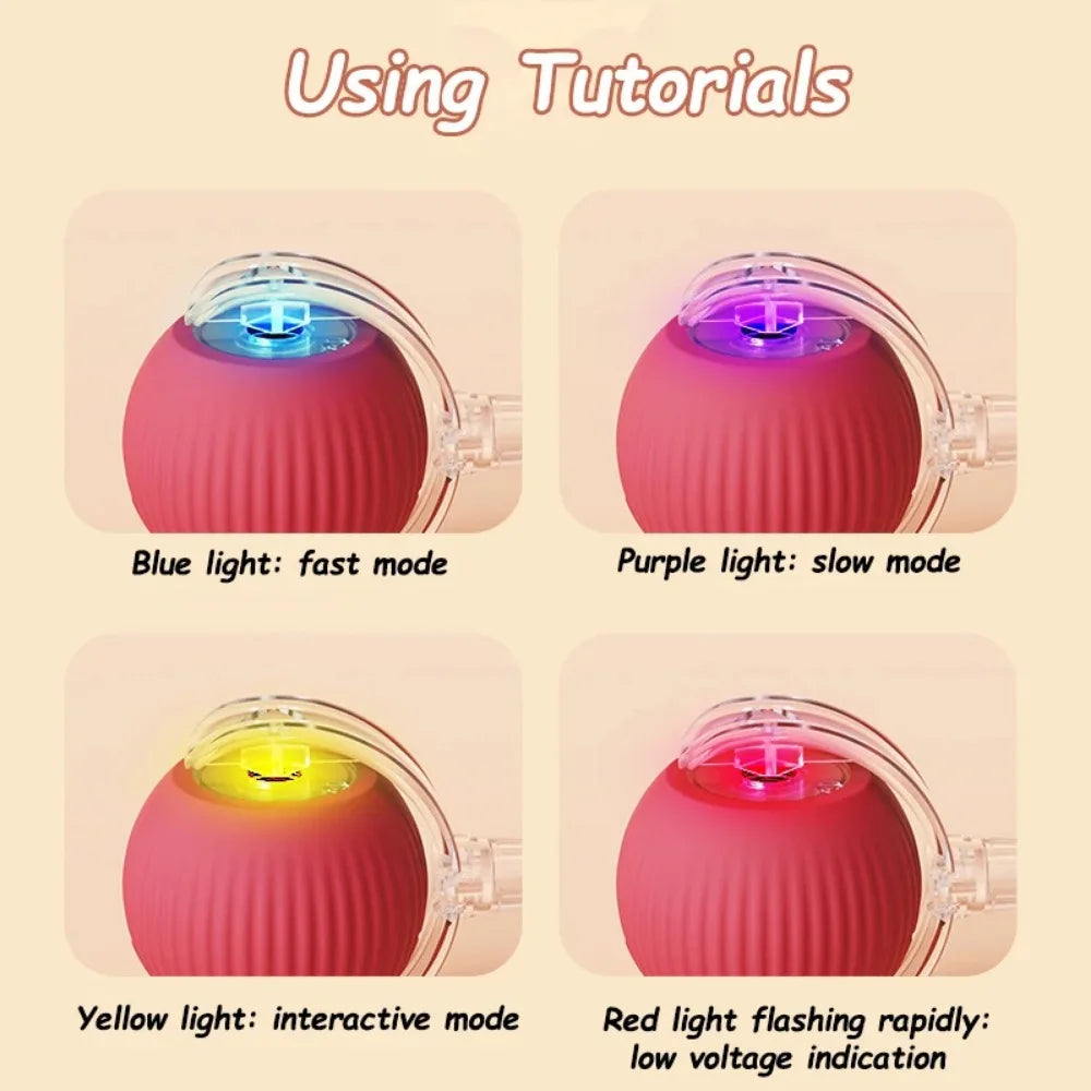 WhiskerChase Smart Rolling Ball