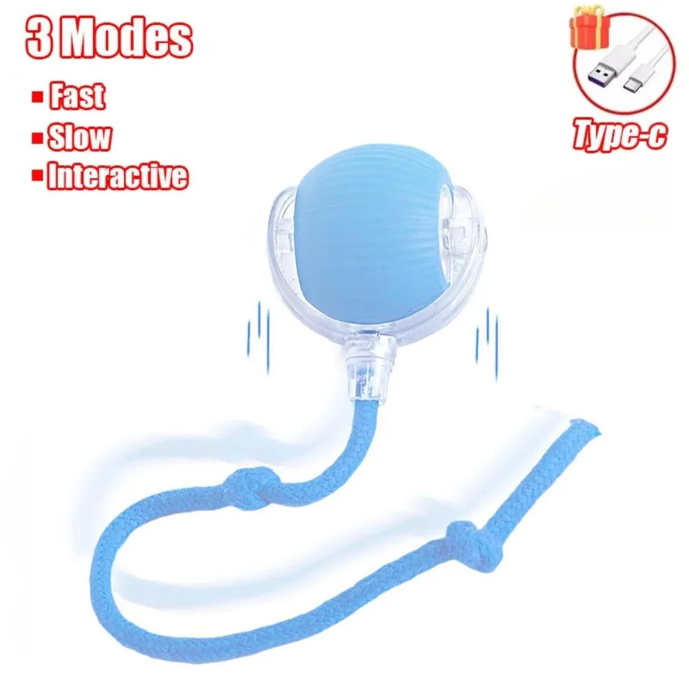 WhiskerChase Smart Rolling Ball
