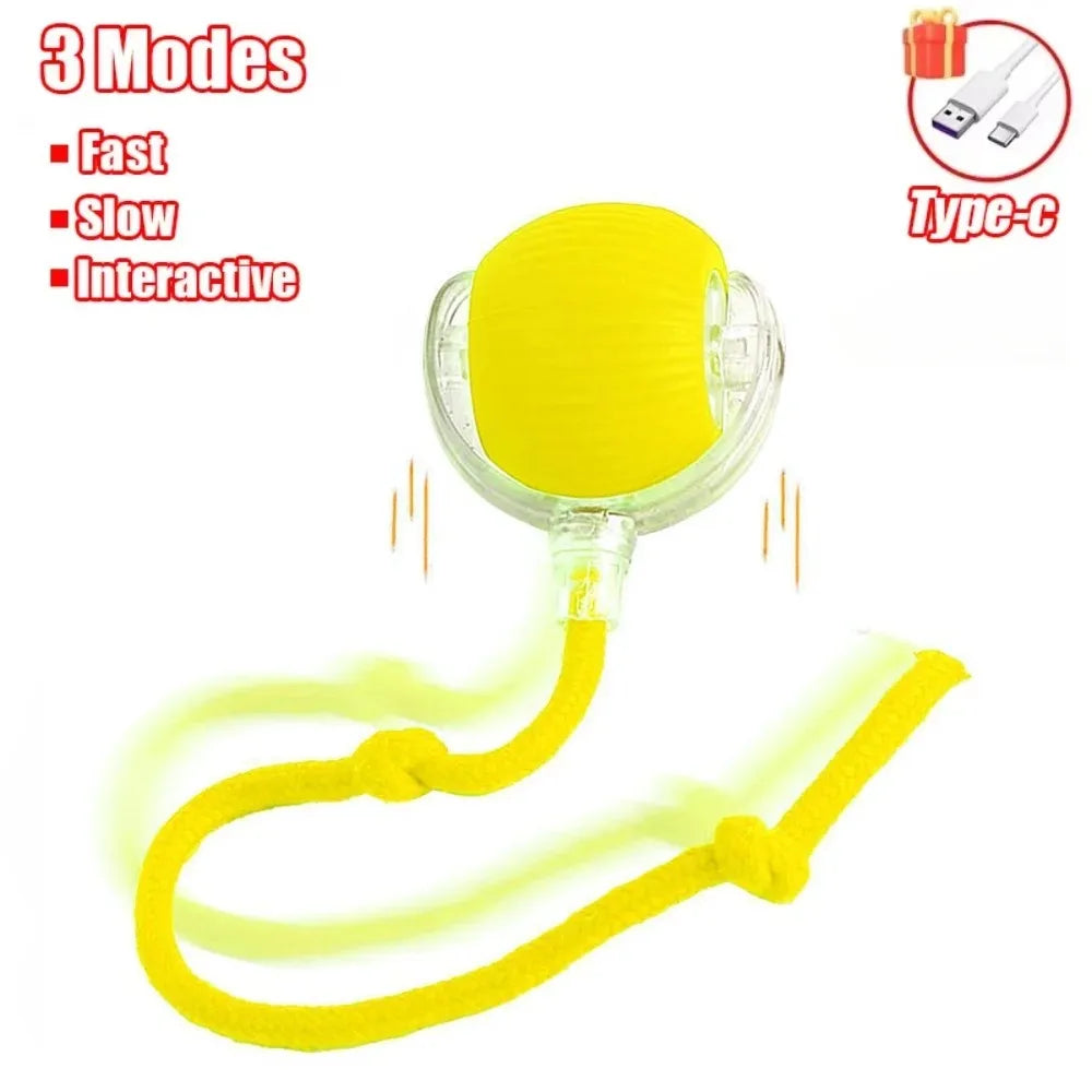 WhiskerChase Smart Rolling Ball