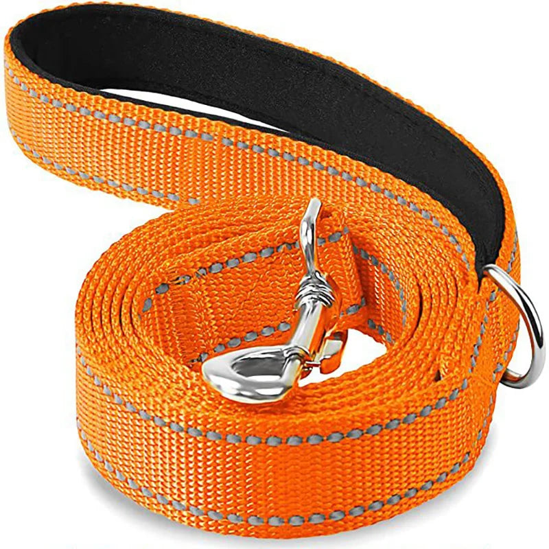NightGuard Reflective Dog Leash