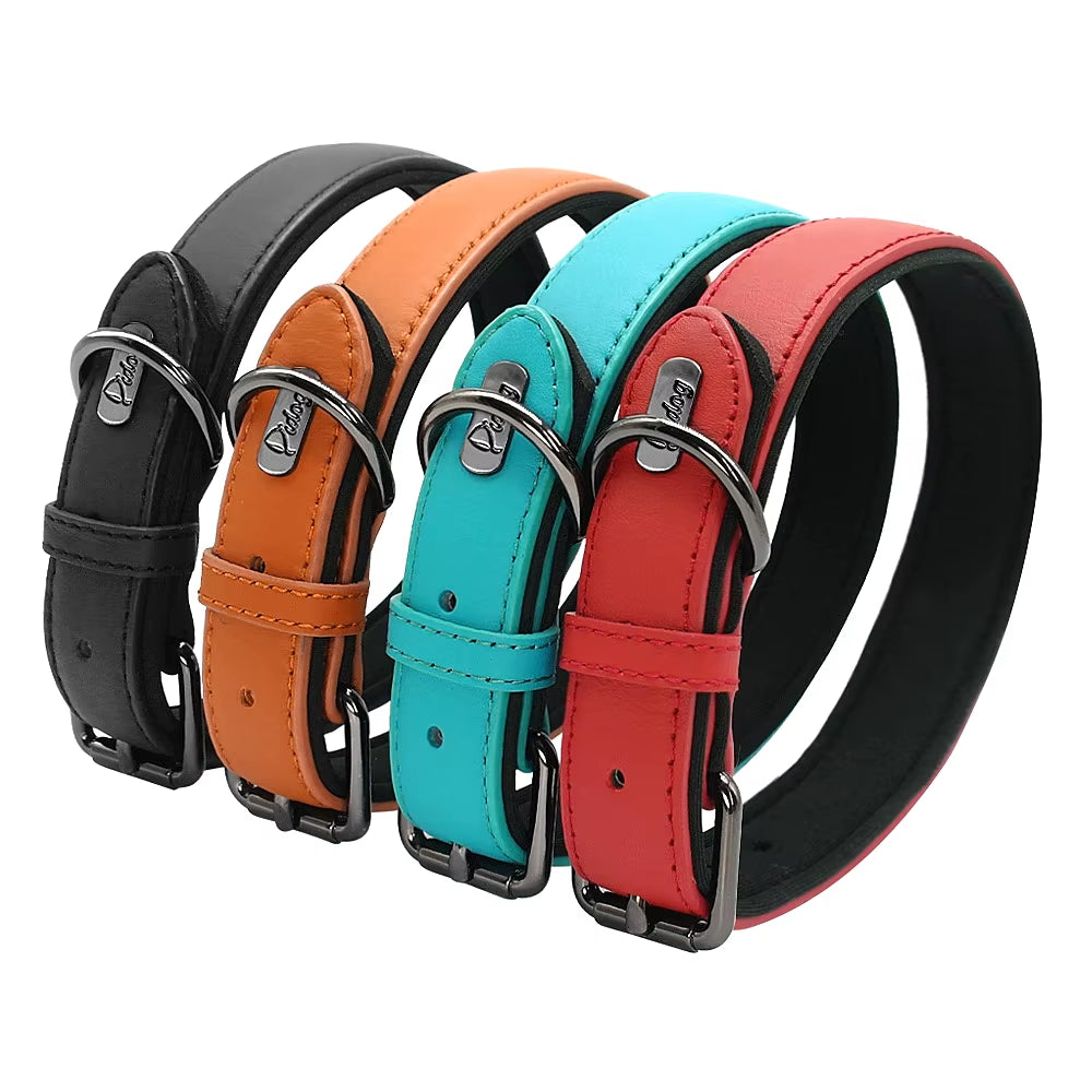 Didog Premium Leather Dog Collar