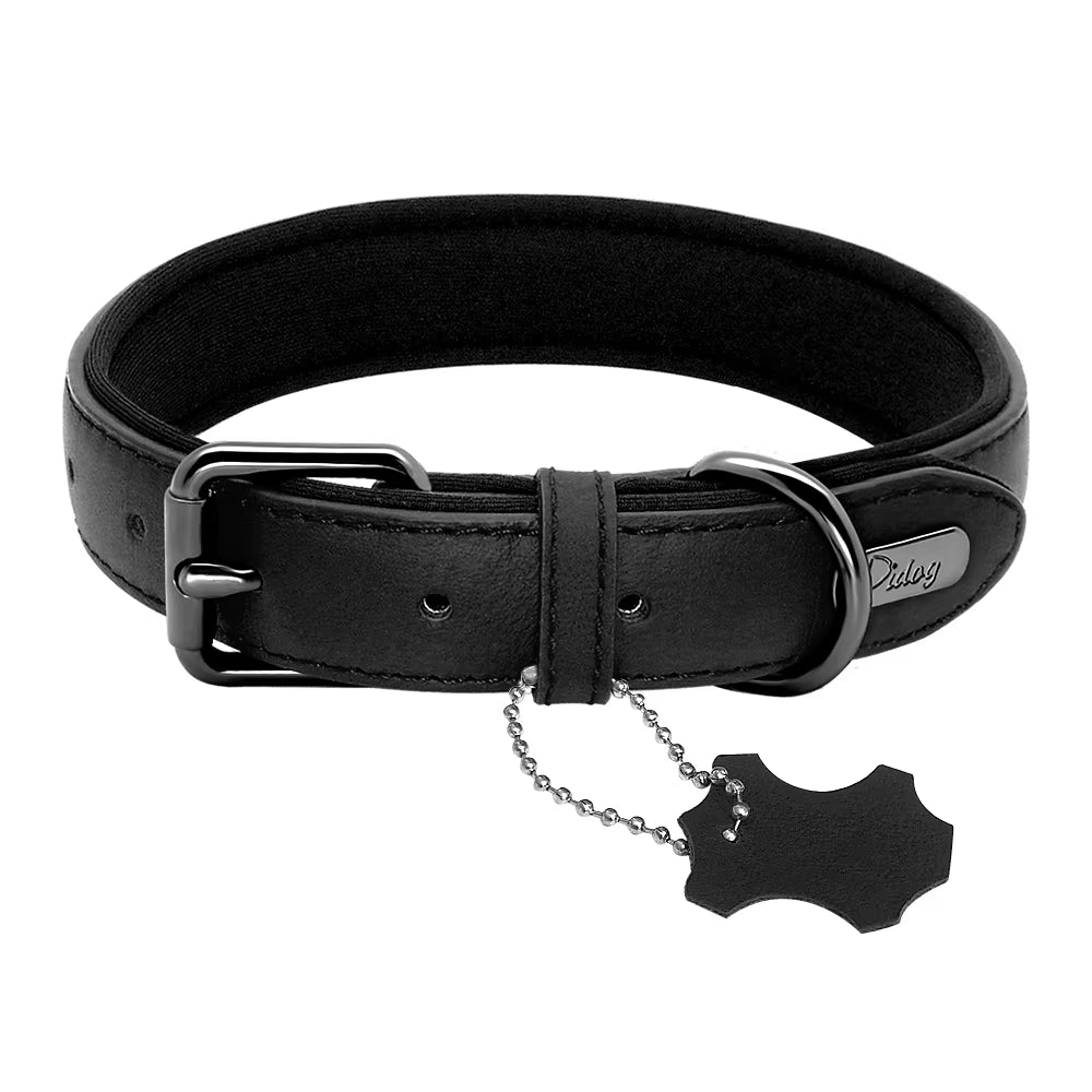 Didog Premium Leather Dog Collar