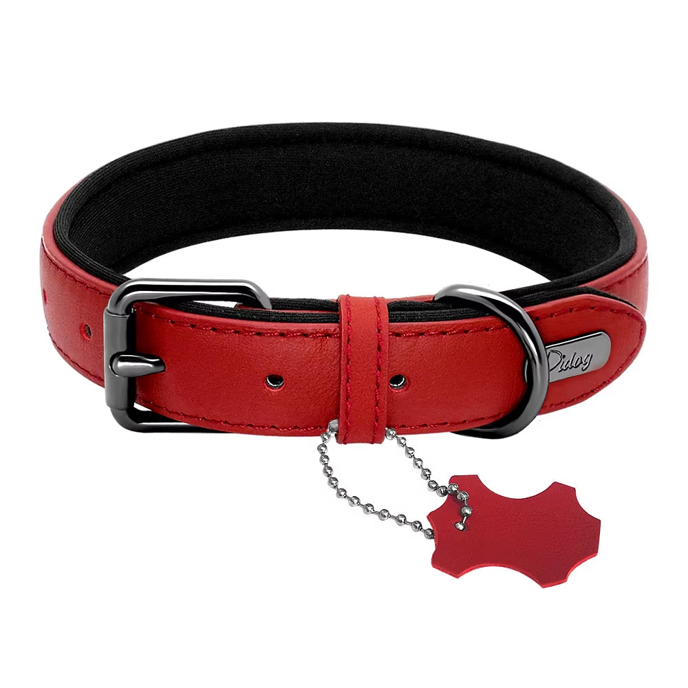 Didog Premium Leather Dog Collar