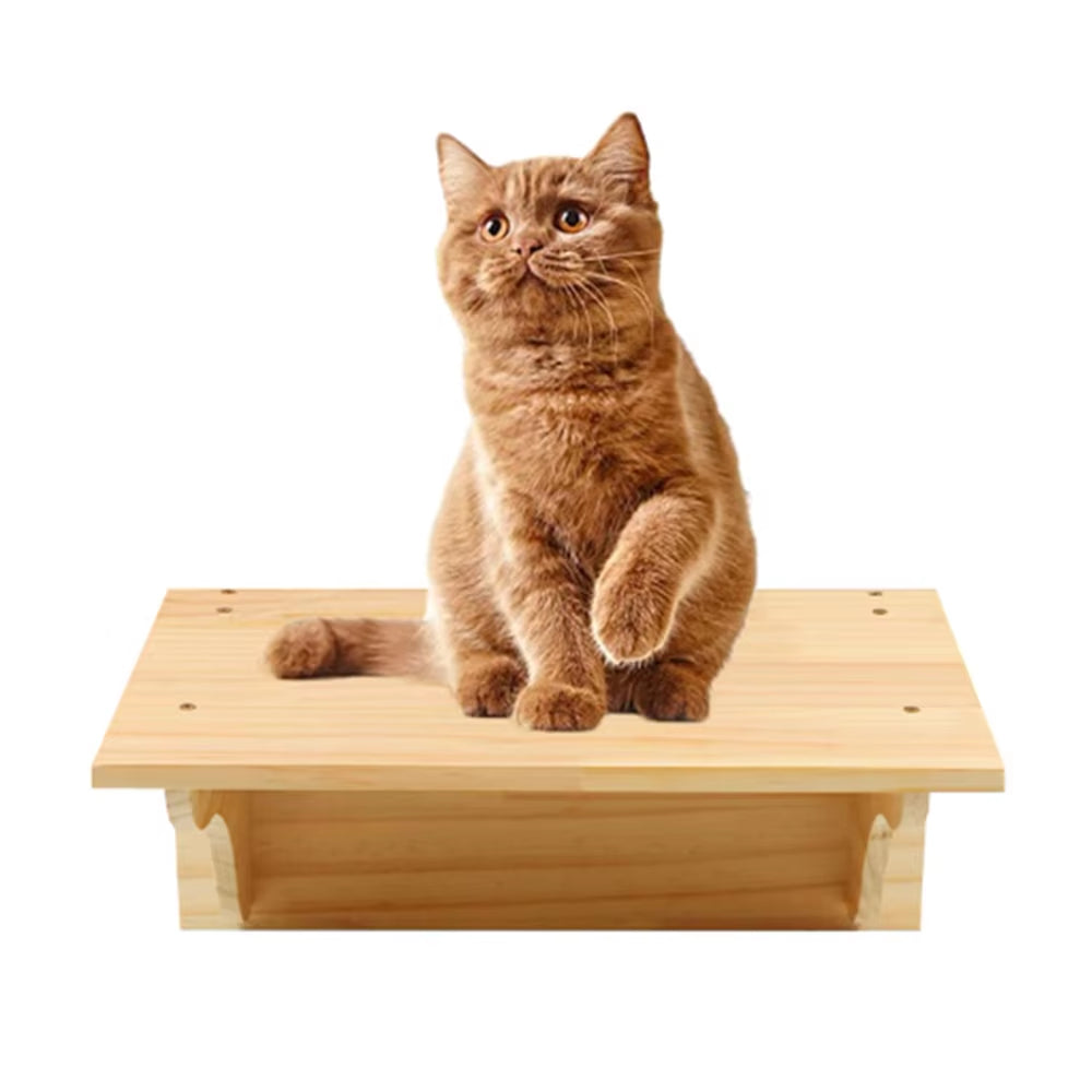 SkyLounge Wall-Mounted Cat Hammock Set