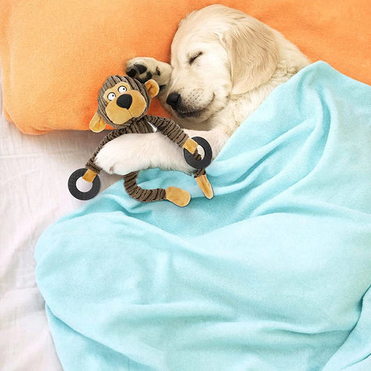 SqueakSnuggle Plush Dog Toy