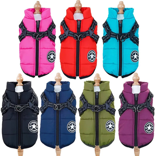 AllWeather Harness Dog Jacket