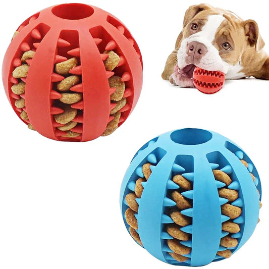 ChewJoy Interactive Dental Ball 
