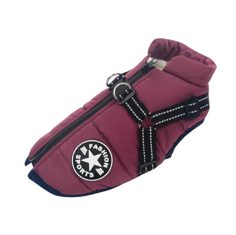 AllWeather Harness Dog Jacket