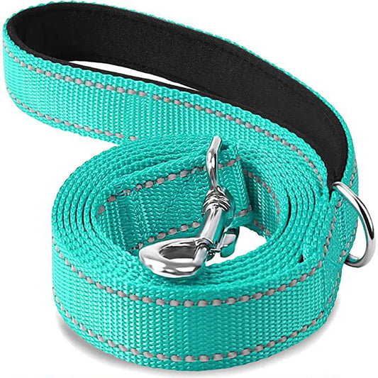 NightGuard Reflective Dog Leash