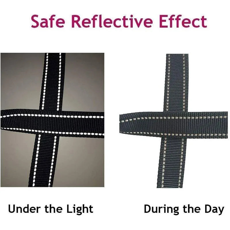 NightGuard Reflective Dog Leash