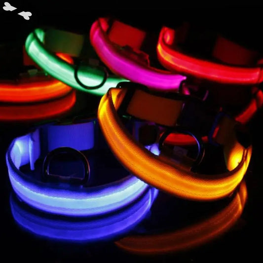 LED Light Dog Collar