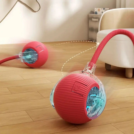 WhiskerChase Smart Rolling Ball