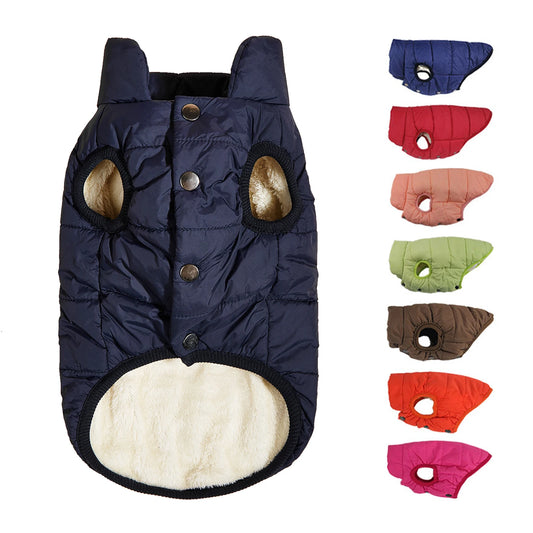 Winter Sport Jacket for Dogs