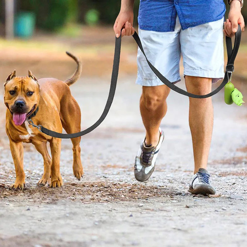 NightGuard Reflective Dog Leash