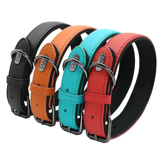 Didog Premium Leather Dog Collar