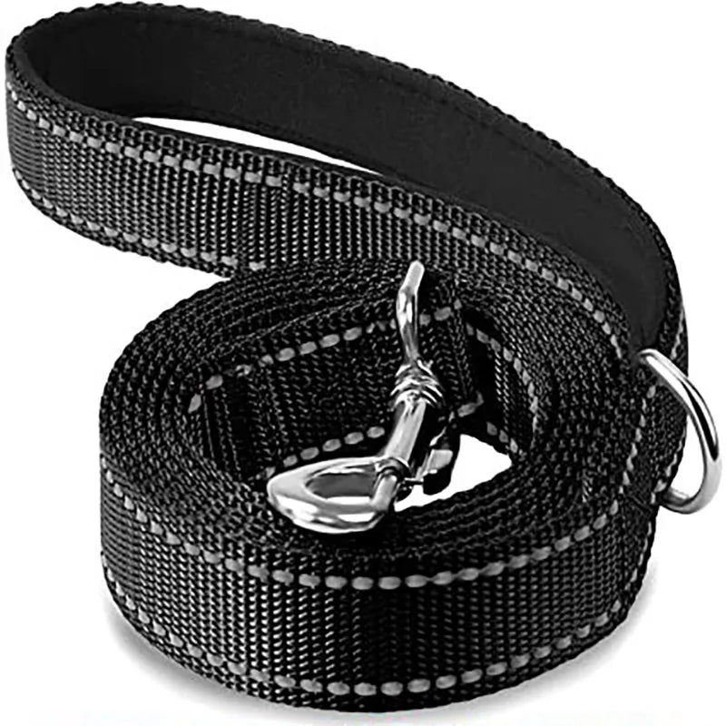 NightGuard Reflective Dog Leash